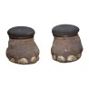 Paire pieds d'éléphant transformé en pouf avec coffre, trophée … - Moinat - Accessoires de décoration