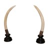Paire de défenses d’éléphant sur socle en bois laqué noir, - Moinat - Accessoires de décoration