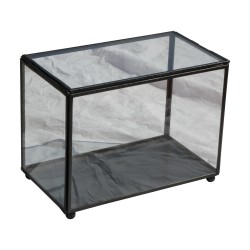 Vitrine Vitrine, Vitrinenmodell, aus schwarzem Eisen und Gläsern …