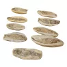 A Lot of 9 fossilized fish (CHF290.-/ea). - Moinat - Wild Flowers