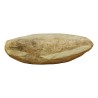 Un Lot de 9 poissons fossilisés (CHF290.-/pce). - Moinat - Accessoires de décoration