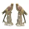 Pair of porcelain parrots, yellow color. - Moinat - Chinaware, Porcelain