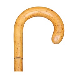 20th century decorative umbrella cane