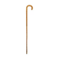 20th century decorative umbrella cane