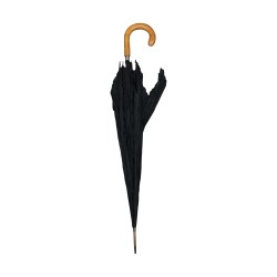 Canne parapluie de décoration 20ème siècle