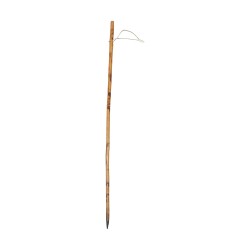 Walnut wood walking stick with cord 20th century