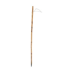 Walnut wood walking cane with cord 20th century