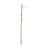 Walnut wood walking cane with cord 20th century - Moinat - Decorating accessories