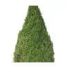 Jardinière en chêne brut avec buis cône au centre et petit … - Moinat - VE2022/2