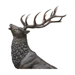 Stag that roars in brown patinated bronze, life-size on its …