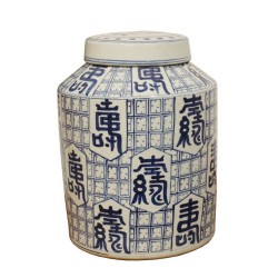 Chinese porcelain herb pot with blue and white pattern …