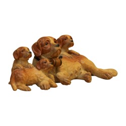 Groupe de chien St-Bernard miniature, une chienne et ses 3 …