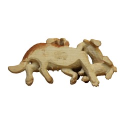 Groupe de chien St-Bernard miniature, une chienne et ses 3 …