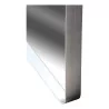 Large mirror with silver-coloured flat iron frame. - Moinat - Mirrors
