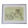 Lithographie étude de lionne avec ses lionceaux signé William … - Moinat - Tableaux - Divers