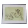 Lithographie étude de lionne avec ses lionceaux signé William … - Moinat - Tableaux - Divers