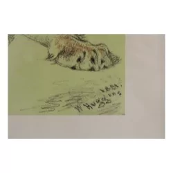 Lithographie étude de lionne avec ses lionceaux signé William …