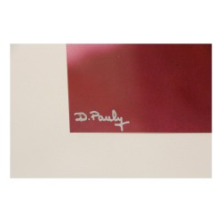 幅宇宙照片的石版画，署名 D. PAULY（无