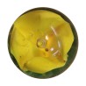 Sulfide, worked glass paperweight. - Moinat - Decorating accessories