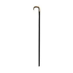 Cane with silver handle and wooden handle.