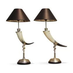 对带黑色内部灯罩的老式喇叭灯