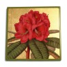 Set of coasters in green lacquer with floral decorations on … - Moinat - Decorating accessories