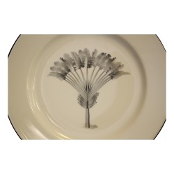 Assiette en porcelaine avec un palmier noir.