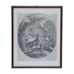 Gravure de chasse représentant 1 cerf, 1 daguet et 1 biche.