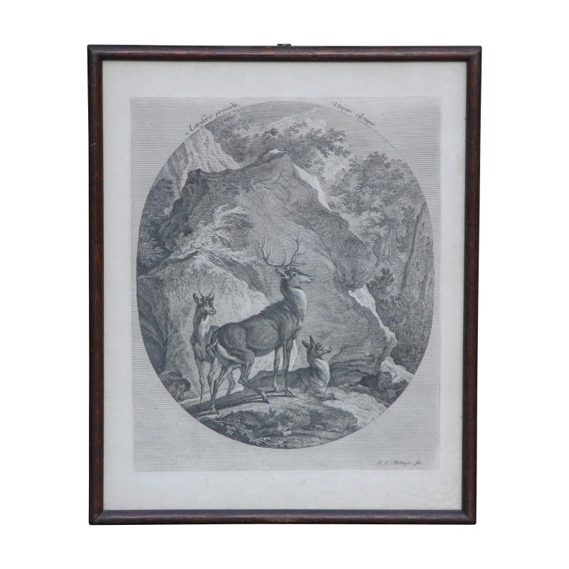 Gravure de chasse représentant 1 cerf, 1 daguet et 1 biche. - Moinat - Gravures Gravure de chasse représentant 1 cerf, 1 daguet et 1 biche. - Moinat - Gravures
