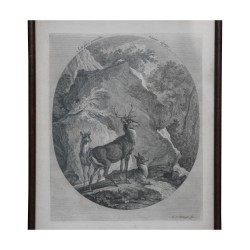 Gravure de chasse représentant 1 cerf, 1 daguet et 1 biche.