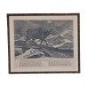 Hunting engraving representing 1 moose. - Moinat - Prints, Reproductions