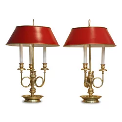 Pair of hot water bottle lamps