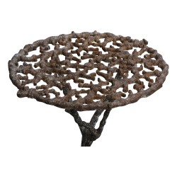 Roots cast iron table. France.
