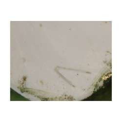 kleiner Schlupfkrug