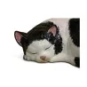 Chat en faïence noir et blanc. - Moinat - Accessoires de décoration