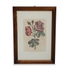 A series of \"medicinal flower\" engravings - Moinat - Painting - Still-life