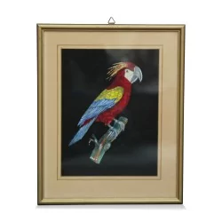 黑色背景上的一系列“彩鸟”版画