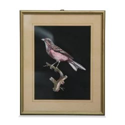 黑色背景上的一系列“彩鸟”版画