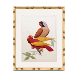 a \"Parrot\" painting under glass with a wooden frame