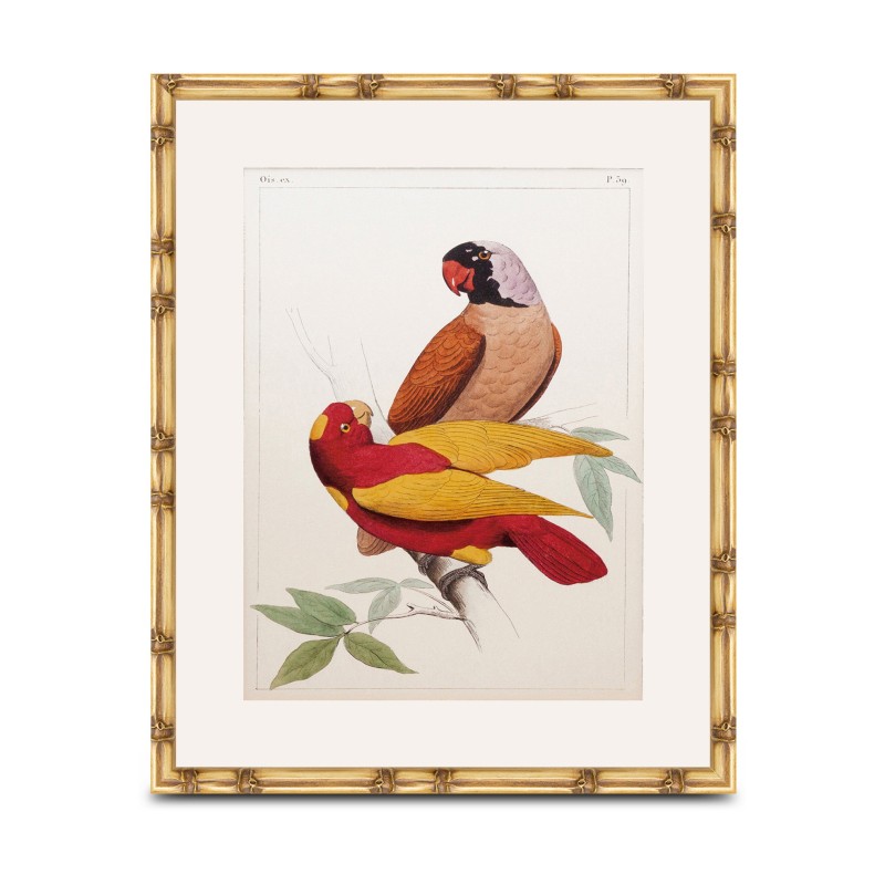 un tableau "Perroquet" sous verre avec cadre bois - Moinat - Tableaux - Divers un tableau "Perroquet" sous verre avec cadre bois - Moinat - Tableaux - Divers