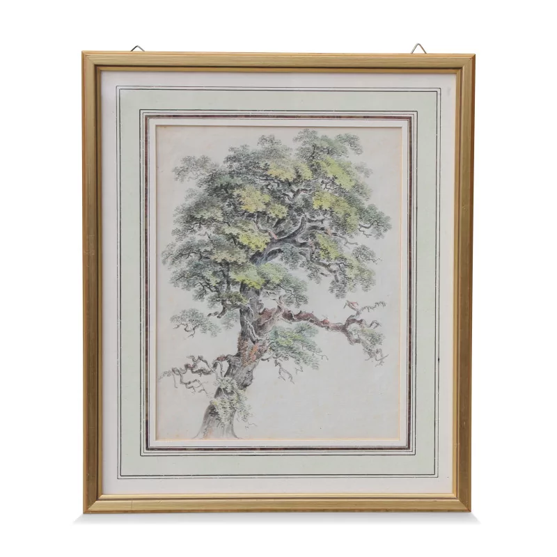 A watercolor print \"Study of oak\" - Moinat - Prints, Reproductions