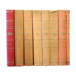 A book series \"Lexikon Der Schweiz\"