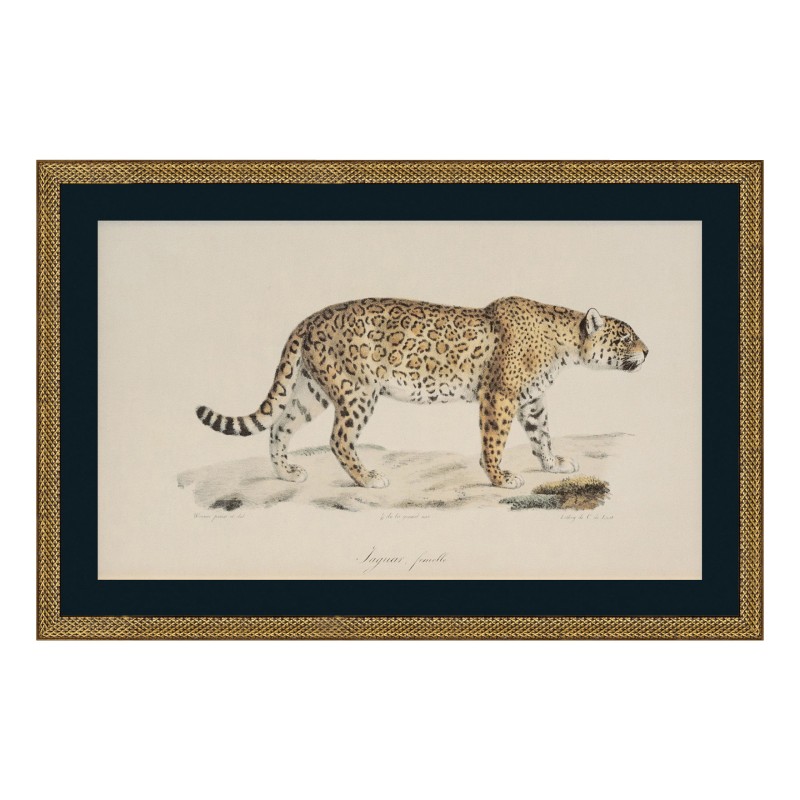 a painting \"Cheetah\" under glass with wooden frame - Moinat - Painting - Miscellaneous a painting \"Cheetah\" under glass with wooden frame - Moinat - Painting - Miscellaneous
