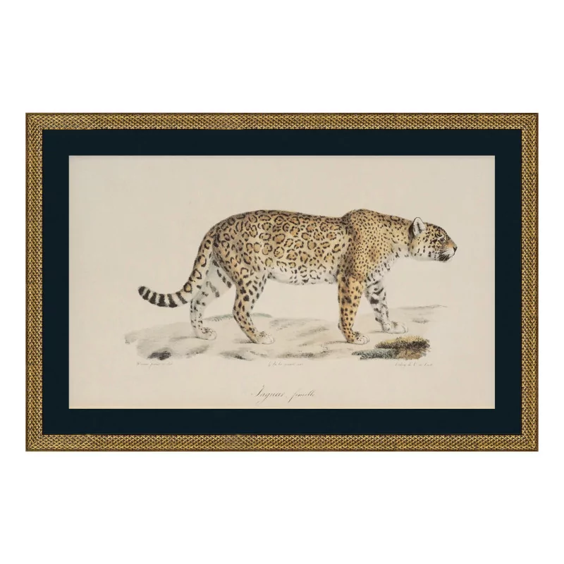 a painting \"Cheetah\" under glass with wooden frame - Moinat - Painting - Miscellaneous