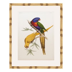 A \"Parrot\" painting under glass with a wooden frame