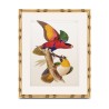 A \"Parrot\" painting under glass with a wooden frame - Moinat - Painting - Miscellaneous
