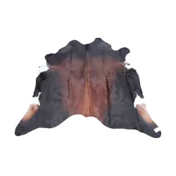 black brown cowhide rug on a white background, model …