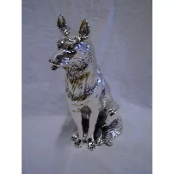 只银色德国牧羊犬。