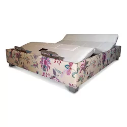 A complete electric TRECA bed