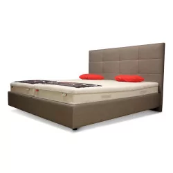 An aluminum “Cosynights” bed frame